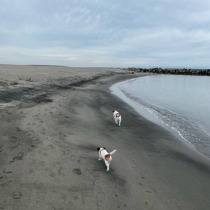 Debd577e acea 45e1 82c5 cf15fdc1b4ac 1620345865098