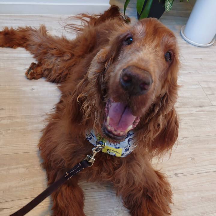 Debd63a6 0ac1 46af 9538 41b9a493e348 1656162768874