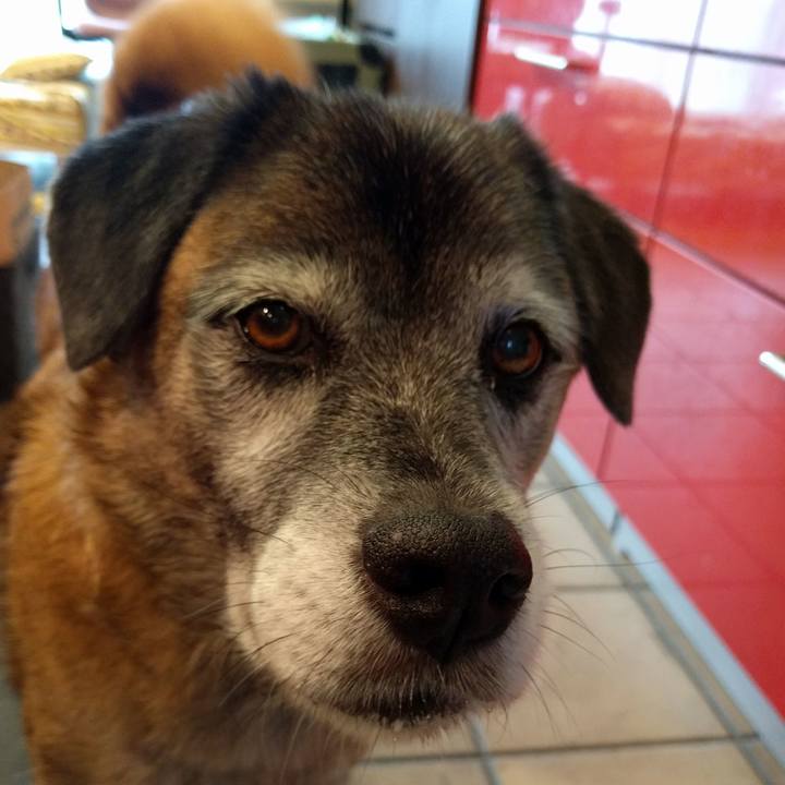 Debd737a bf6e 4411 98a8 67e60875808b 1539072290905