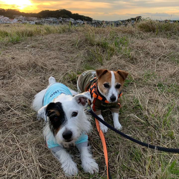 Debd8076 cf7f 4c25 b792 c35779b6c4c1 1634803007274