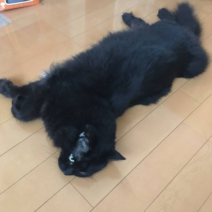 Debd9329 1d4f 466e a102 7e4465b11c8e 1564547631427