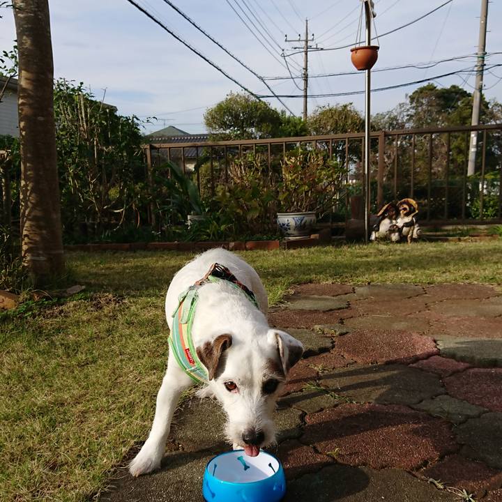 Debdb836 5b36 4559 9714 a8f60e3fd39a 1572824149075