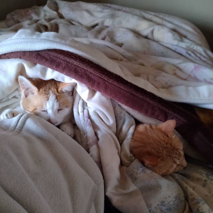 Debde089 eefc 4c90 9036 6ade37734944 1744607256870