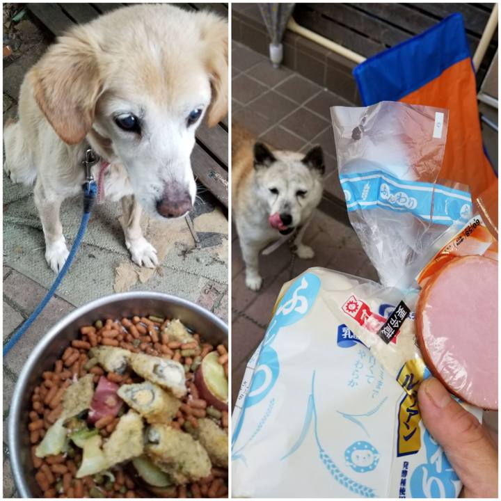 Debe00bc 75da 4ec3 87db 378032d302fc 1749882452147