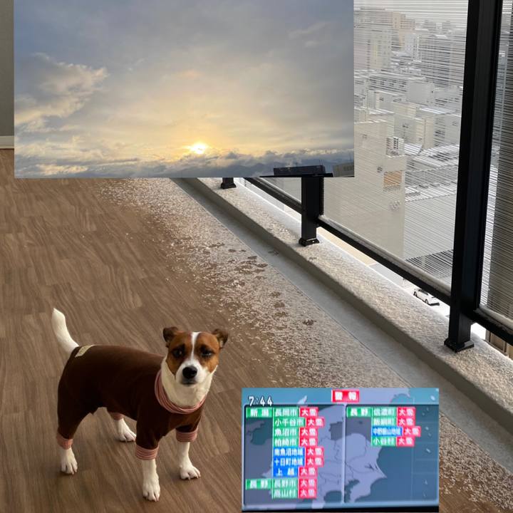 Debe2567 05e0 4010 995b 7d50f812b863 1644101365777