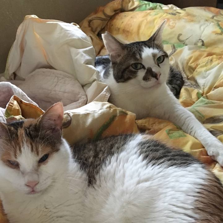 Debe9947 5fc5 4611 af25 7c52585db33a 1562813974105