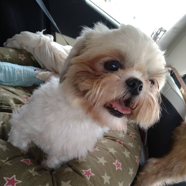 Debeb9d0 f9a8 4b5c aaa4 23c733b77a65 1599274628095