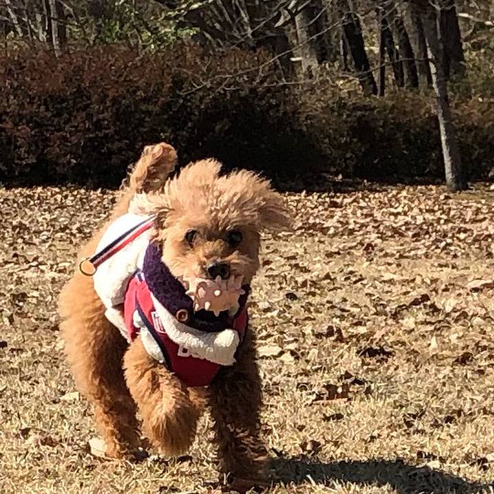 Debed0e0 d877 4faa 8b34 d2115d29607b 1614828138156