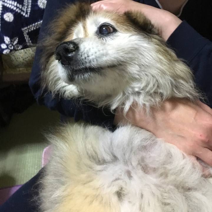 Debeed30 98f0 42f0 b21a c391a3dc8298 1556801923875