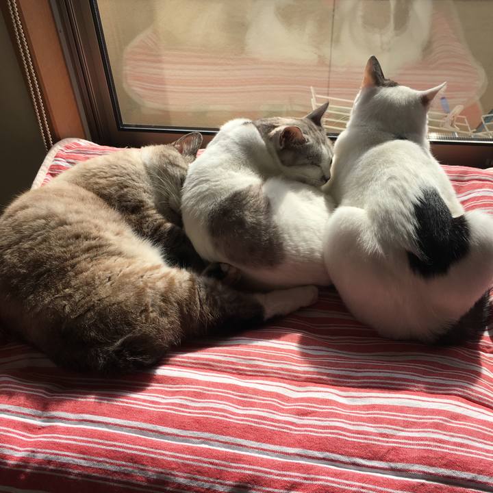 Debefc73 2276 4ba2 8802 2d78e3ca4a2d 1545876430581