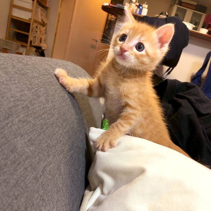 Debf0bd8 97e0 4a7e a77d 4033aabd7d21 1562297620847