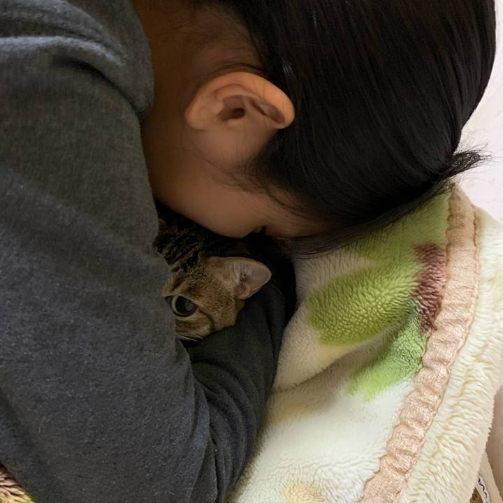 Debf2331 40e3 4e8f b155 1a8ea2778479 1606748624146