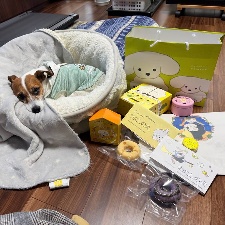 Debf61ba 37b1 4123 8d2d 689939478761 1774911687505