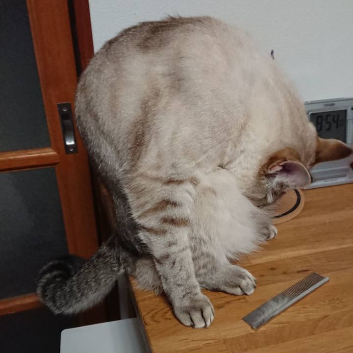 Debf9cf7 4561 46e3 b7aa ed69f5204b33 1517918207236