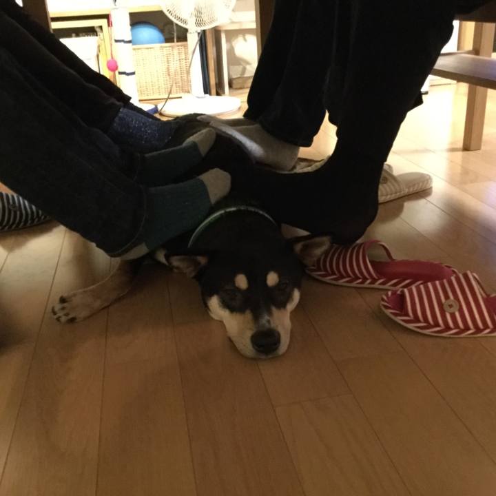 Debfd98e cf2d 4050 ab99 6b222d83f225 1515554801770