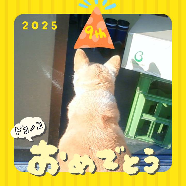 Dec0100d 1cb8 409c b580 509580122f99 1749211563649