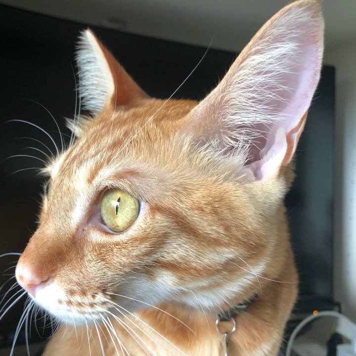 Dec0212c 3388 4113 b00f 1624490cc018 1629940062472