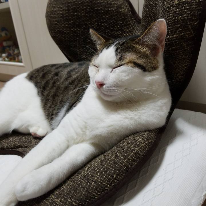 Dec039cc bc4e 4781 9629 8a4741b49ed0 1569235980521