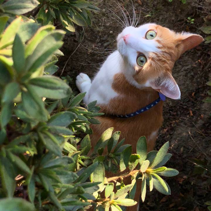 Dec046ef e2fd 40db 976c 09f96e607d89 1539839119182