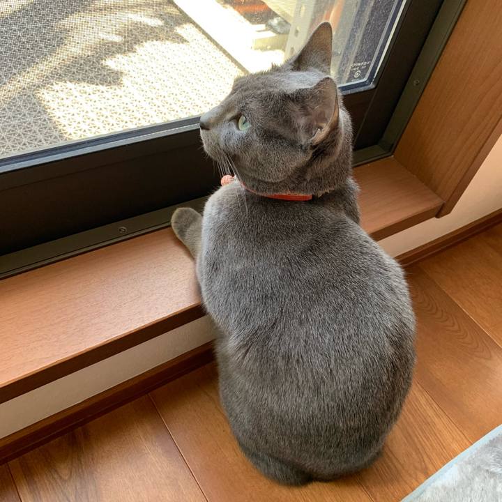 Dec04f63 0842 473f 832e 68b74a7a39da 1618964294054