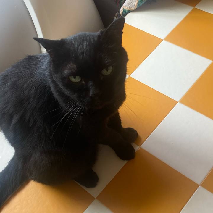 Dec05e0a 4bb9 4808 8e1d b51696fa4b15 1722735867734