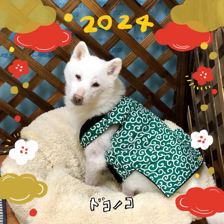 Dec07ddb f26a 483d bbee 80f82dea76e2 1704109201470