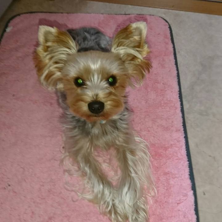 Dec0a69a c464 4eb0 ac44 b77745513b29 1509492379808