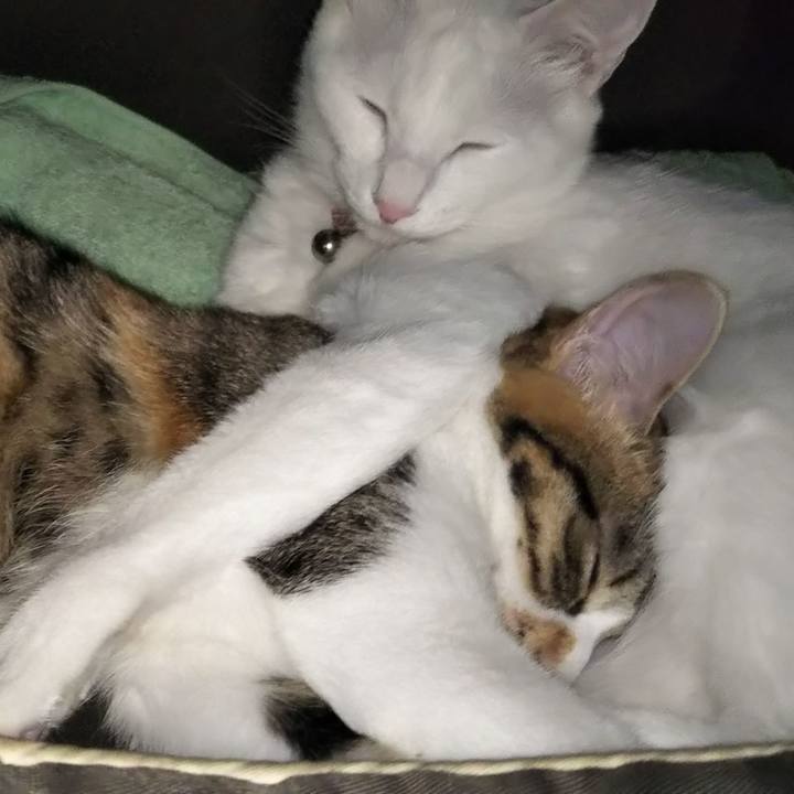 Dec0e1a2 7474 4468 b97c 26bd7672da39 1636876783717