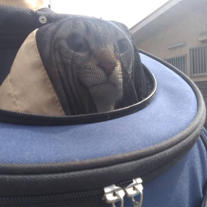 Dec0e8f3 cb30 4ca8 9f92 28c4810a08c7 1697252368841