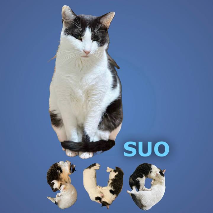 Dec0ea0e 2085 4c04 954c 84157f78914b 1668926531105