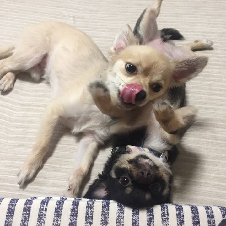 Dec11dd6 5a40 4a44 82a8 9cfac9980d14 1534975276700