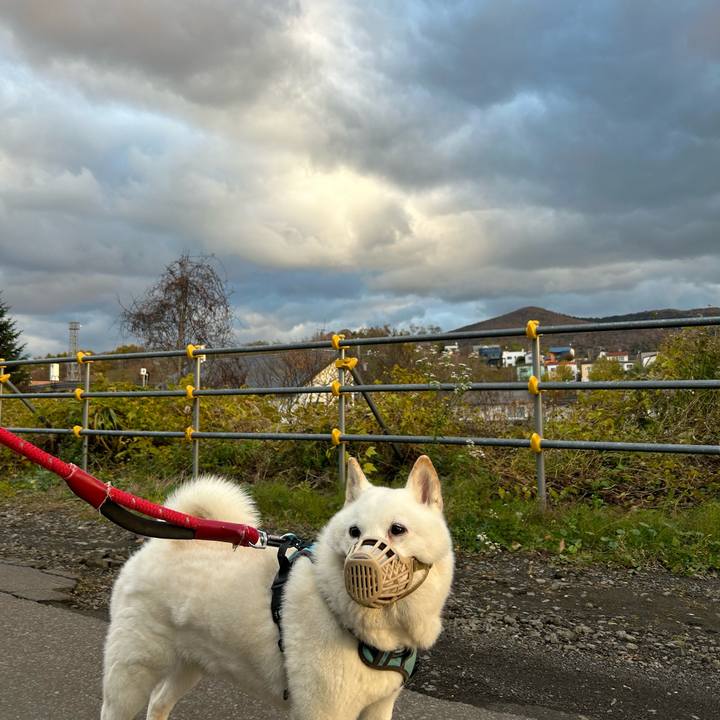 Dec12885 843f 46f0 9c87 1b92458c7e1a 1730758995762