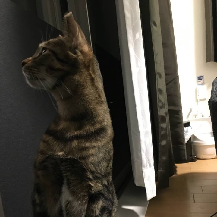 Dec17974 5bea 4af6 a59f 98aaef0aff5b 1525105245896