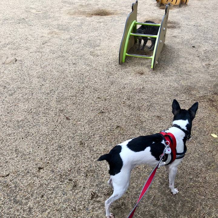 Dec1ad00 7399 4018 bde4 917089b605c7 1559994838748