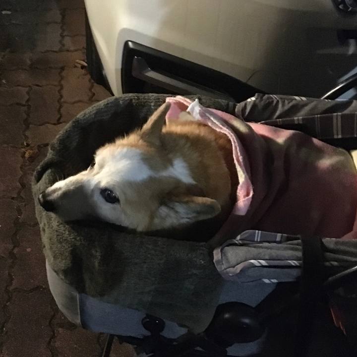 Dec1ce36 608d 47c9 a110 fde0f4606f3c 1574256794954