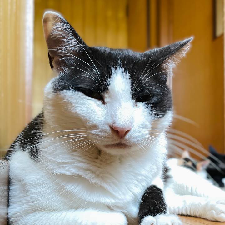 Dec24e1a 227f 43fe a6c1 fcd8209e4d11 1658192292931