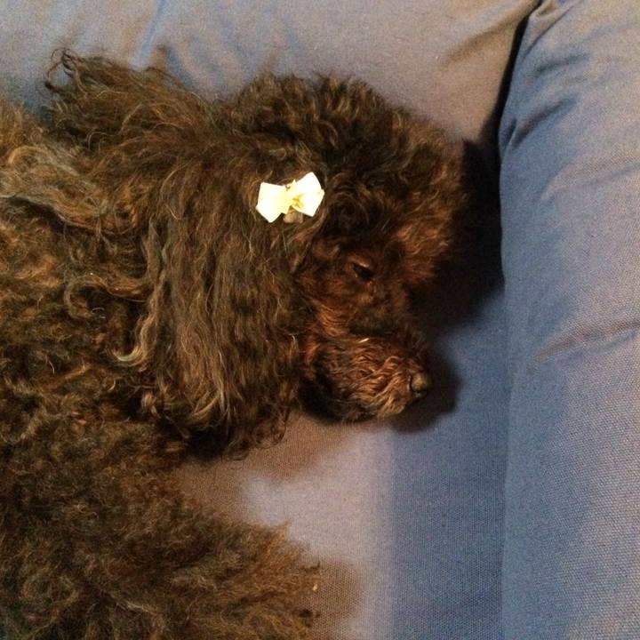 Dec28218 c9ef 4d55 a690 b1b764bbaeb8 1536968437893