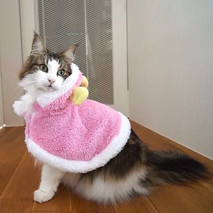 Dec29361 7d4b 4a5d a586 05854d3d9338 1640405024527