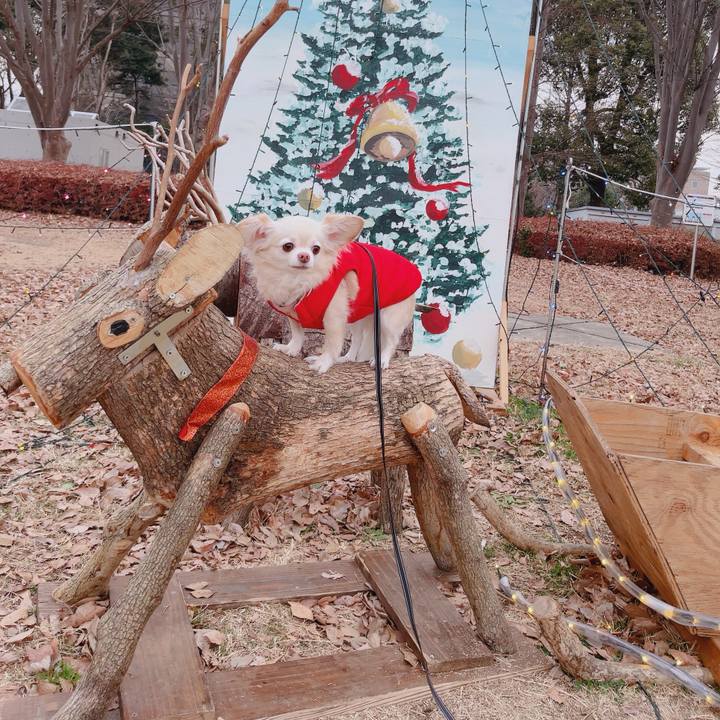 Dec29ff4 298e 4625 a969 f49536869ffc 1766286753669