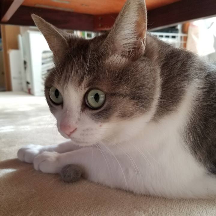 Dec2b0bd e7c9 4894 906a 1b2e5bd8b1a2 1670715953330