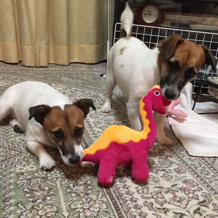 Dec2c703 96e0 494b b041 662accc46883 1512482505815