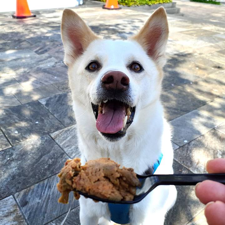 Dec2e68e 7e40 45a7 bcab 49937455faa4 1649486505197