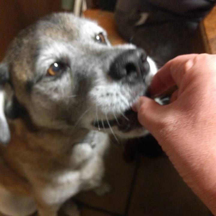 Dec2e9c8 2674 4e62 ae6d acaa3fd0191b 1550534734900