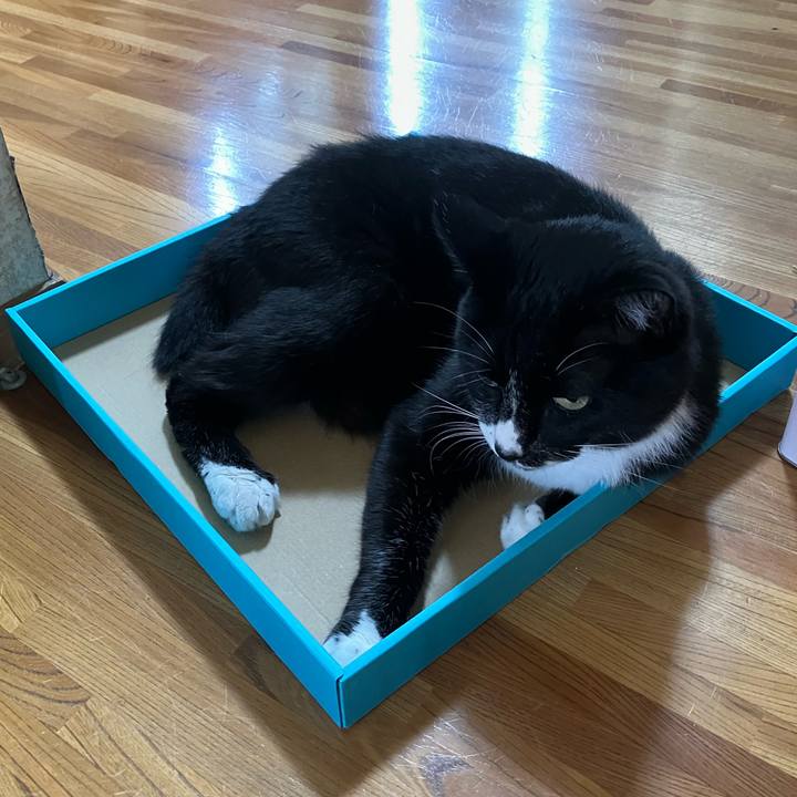 Dec31632 fcf0 47be abcb ba23e1897466 1755229789353