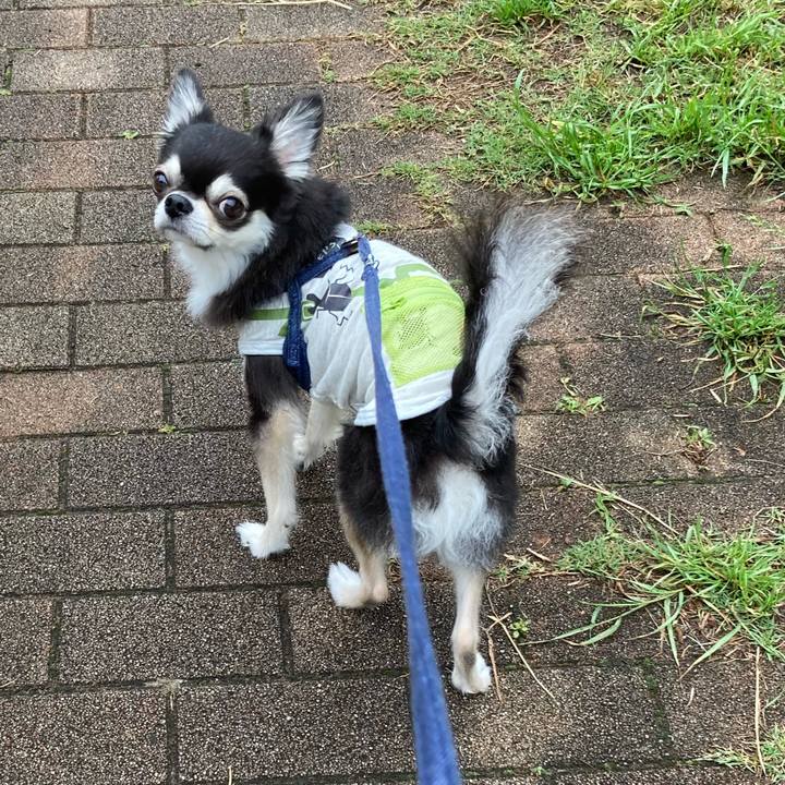 Dec32d6c 366a 402a b458 f1afbfbfedfa 1684596781072