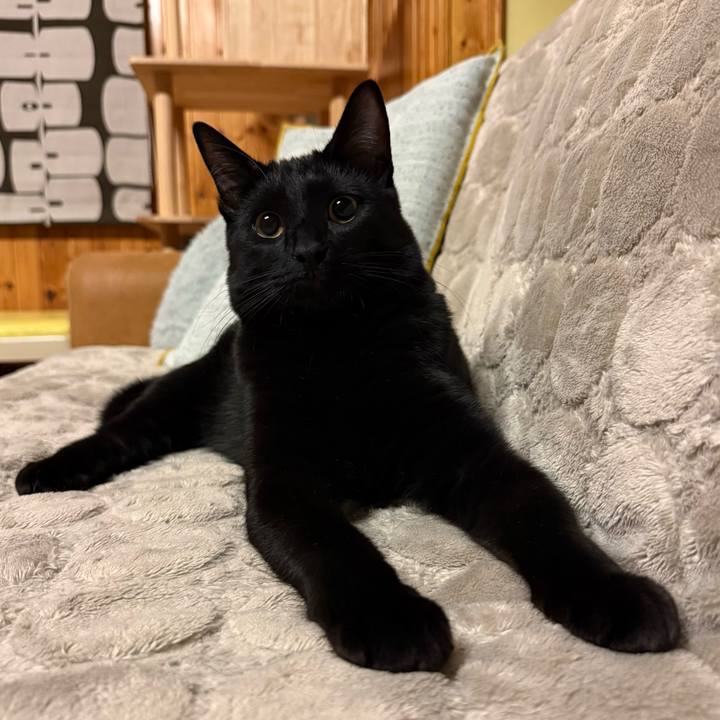 Dec3a842 88fa 4855 8162 5a3907475605 1768859073933