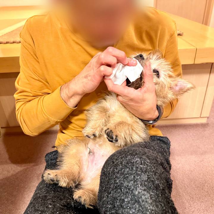 Dec406b7 090d 42b1 8768 a1cffe2bf4d1 1702042361643