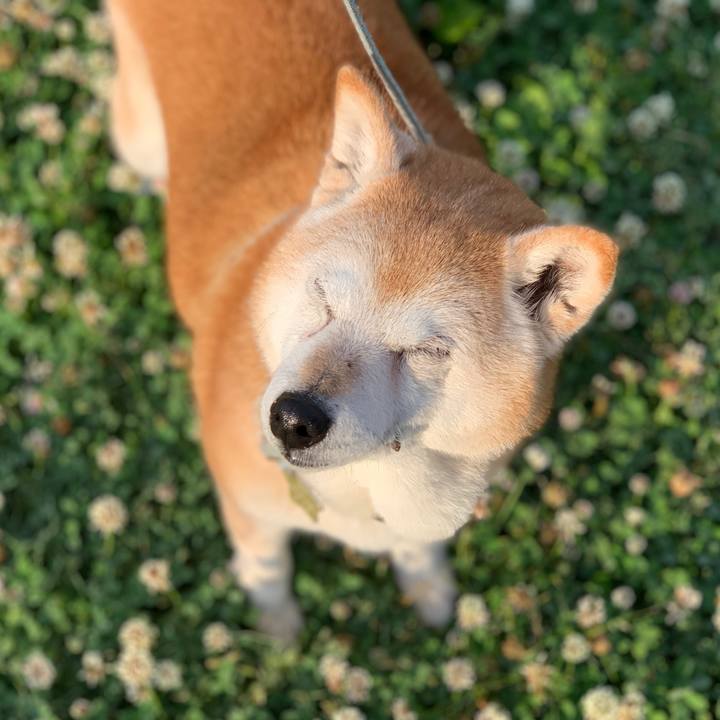 Dec446ad 5f92 46a4 8837 2b86f0691874 1558968970403