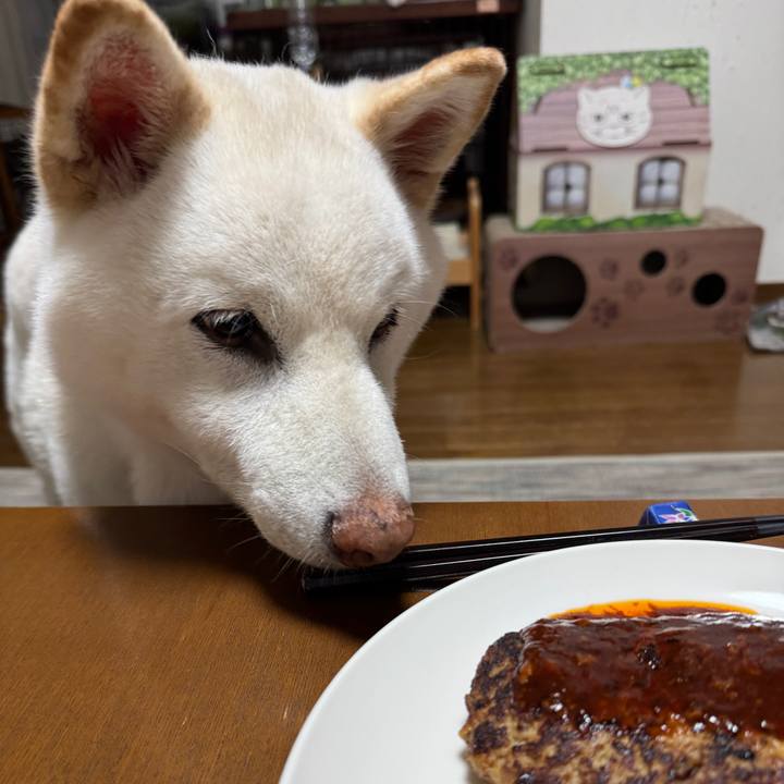 Dec45f92 ffc9 4c29 9982 589d32341b09 1754827017438