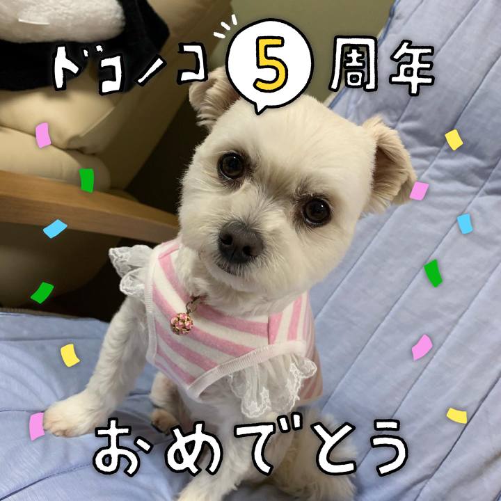 Dec47c5a 344c 4b4d 9e16 87bcbcebebd6 1622866864582